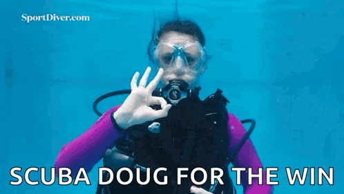 A Scuba Diver In A Purple Wetsuit Is Giving An Ok Sign Underwater . GIF