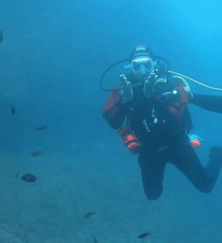 A Scuba Diver Is Being Helped By Another Scuba Diver In The Water GIF