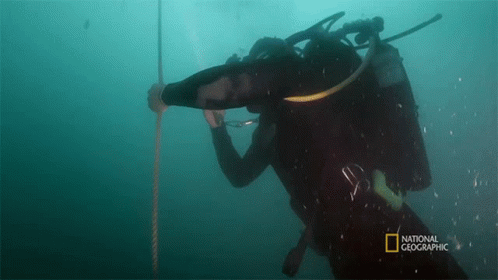 A Scuba Diver Is Shown In A National Geographic Ad GIF