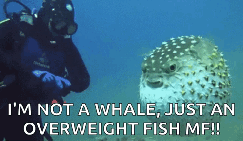 A Scuba Diver Is Standing Next To A Puffer Fish That Says I 'M Not A Whale GIF