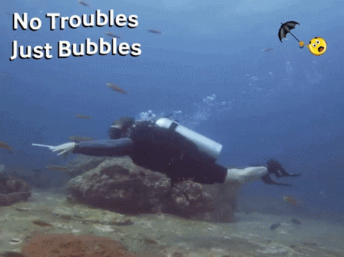 A Scuba Diver Is Surrounded By Fish And The Words No Troubles Just Bubbles GIF