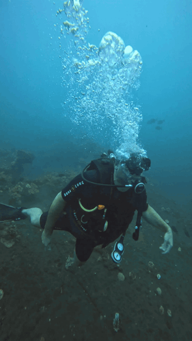 A Scuba Diver Is Wearing A Shirt That Says Aqualung On It GIF
