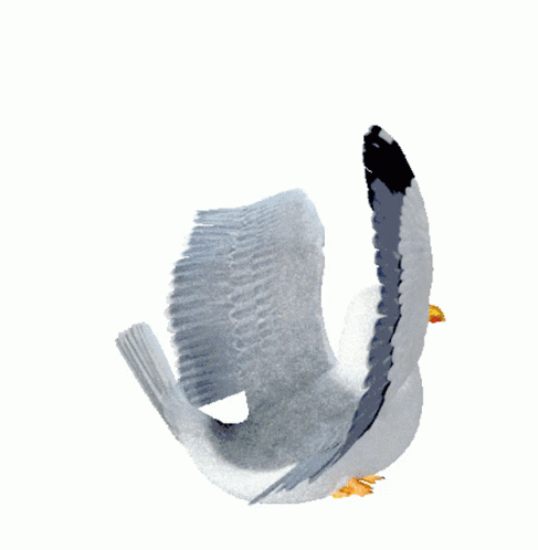 A Seagull Is Flying In The Air With Its Wings Outstretched GIF