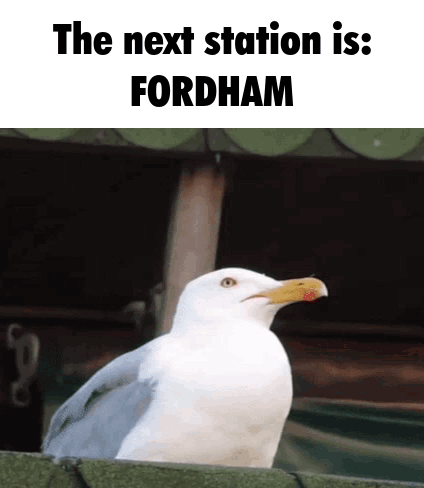 A Seagull Is Sitting On A Fence With The Words The Next Station Is Fordham Above It GIF