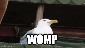 A Seagull Is Sitting On A Ledge With The Word Womp Written On It . GIF