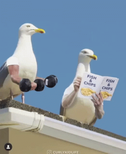 A Seagull Is Sitting On Top Of A Gutter Holding A Sign That Says Fish & Chips GIF