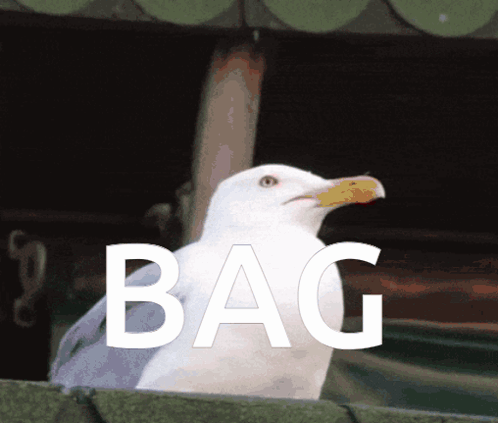 A Seagull Is Standing In Front Of A Sign That Reads Bag GIF