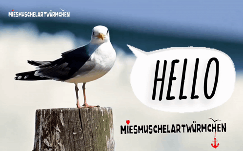 A Seagull Standing On A Wooden Post With A Speech Bubble Saying Hello GIF