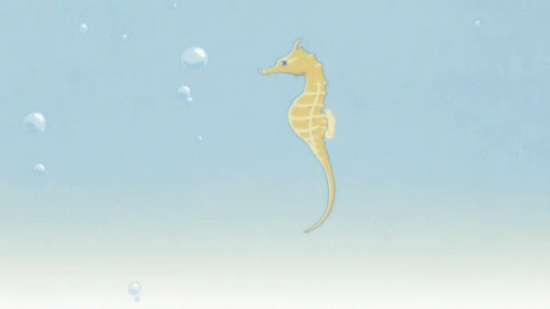 A Seahorse Is Swimming In The Water With Bubbles GIF