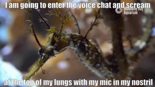 A Seahorse With The Caption I Am Going To Enter The Voice Chat And Scream GIF