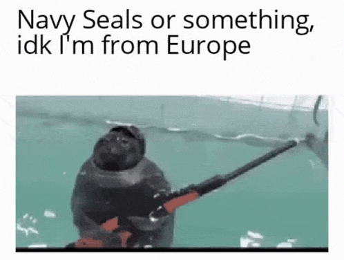 A Seal Holding A Gun In The Water With The Words Navy Seals Or Something Idk I 'M From Europe GIF