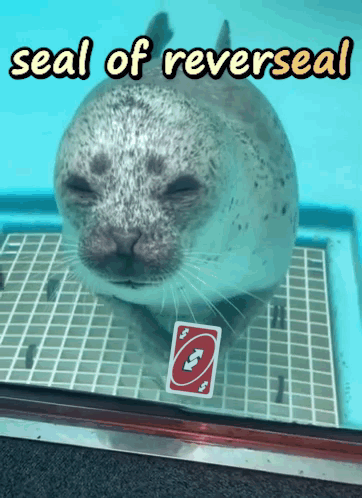 A Seal Holding A Uno Card In Its Mouth GIF