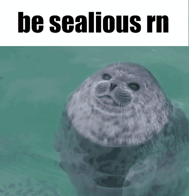 A Seal In The Water With The Words Be Sealious Rn Below It GIF