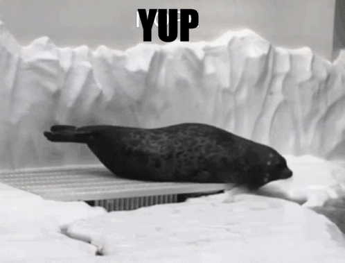 A Seal Is Laying In The Snow With The Word Yup Behind It GIF