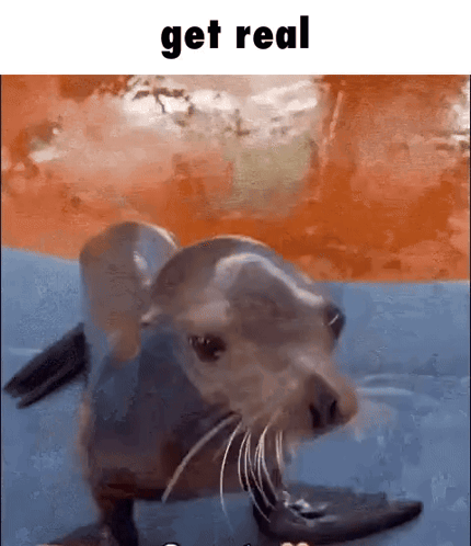 A Seal Is Looking At The Camera With The Words Get Real Above It . GIF