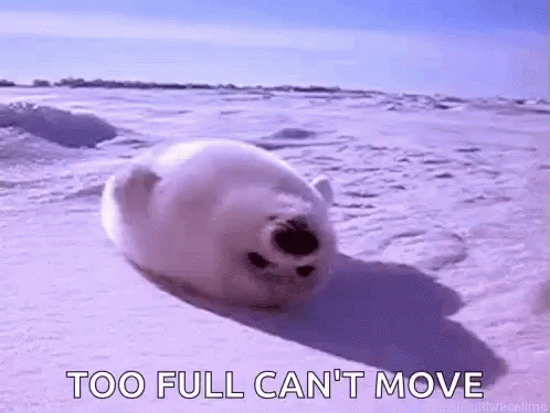 A Seal Is Rolling Around In The Snow With The Words `` Too Full Can 'T Move '' Behind It . GIF