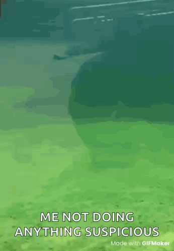 a seal is swimming in the water with the caption me not doing anything suspicious made with gifmaker
