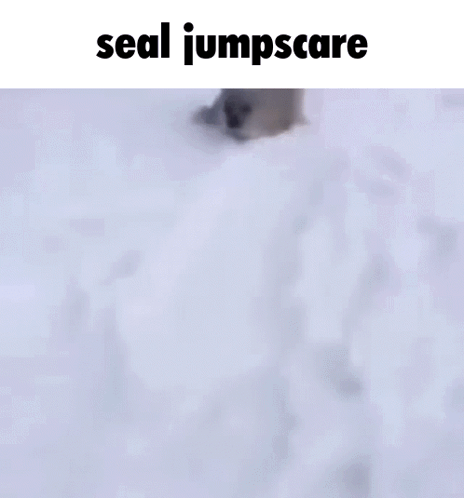 A Seal Is Walking Through The Snow With The Words `` Seal Jumpscare '' Written Above It . GIF