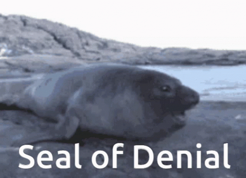 A Seal Laying On The Ground With The Words Seal Of Denial Above It GIF