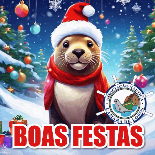 a seal wearing a santa hat and scarf with the words boas festas