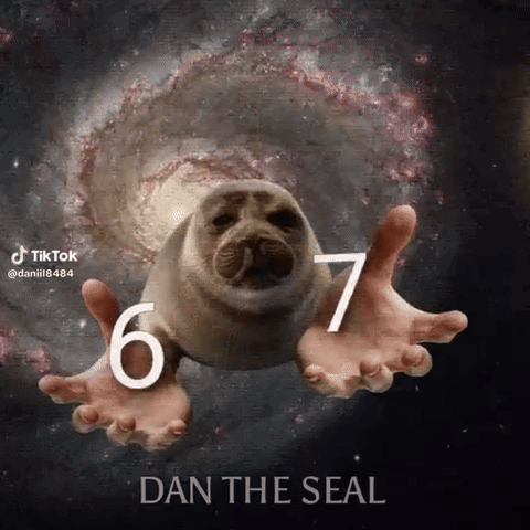 A Seal With A Number 6 And 7 On Its Back Is Being Held By A Person 'S Hands In Space . GIF