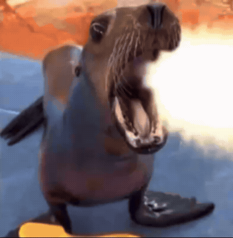 A Seal With Its Mouth Open Is Standing On A Rock GIF