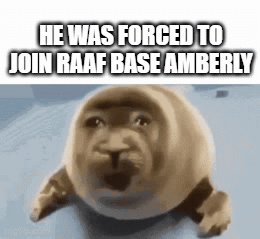 A Seal With The Words He Was Forced To Join Raaf Base Amberly Written On It GIF