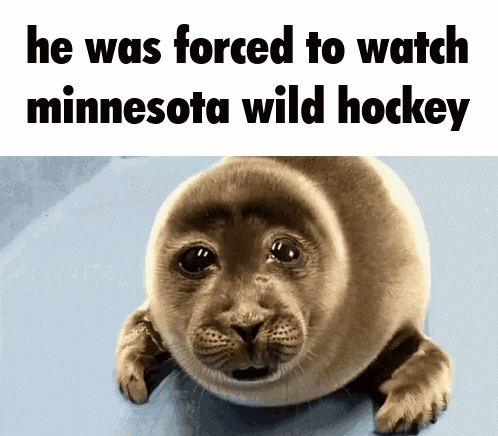 A Seal With The Words He Was Forced To Watch Minnesota Wild Hockey GIF