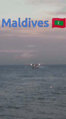 A Seaplane Is Taking Off From Maldives With A Flag In The Background GIF