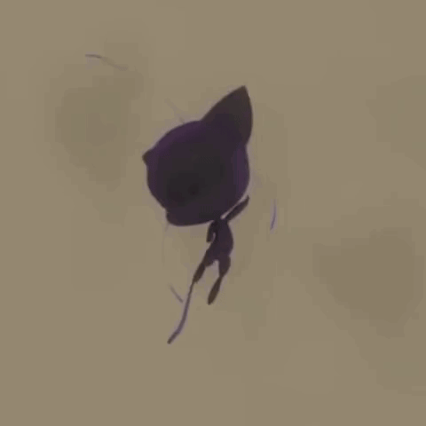 A Shadow Of A Cat Is Flying Through The Air On A White Background . GIF