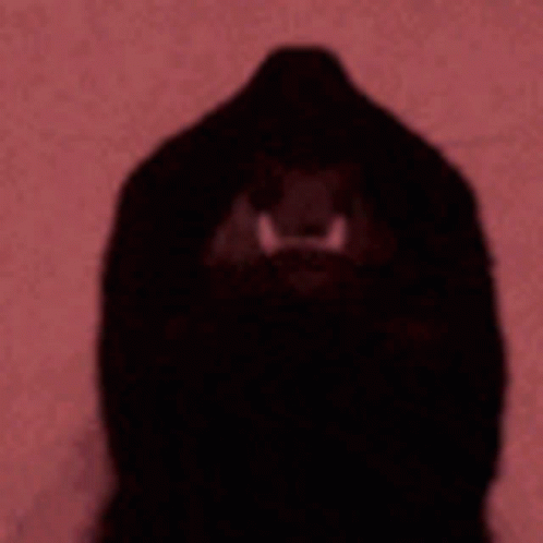 A Shadow Of A Gorilla With Sharp Teeth Is Against A Red Background . GIF