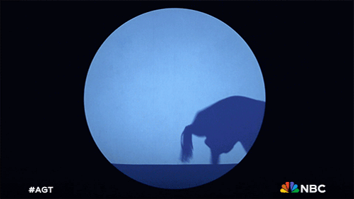 A Shadow Of A Person Playing With A Ball With The Nbc Logo GIF