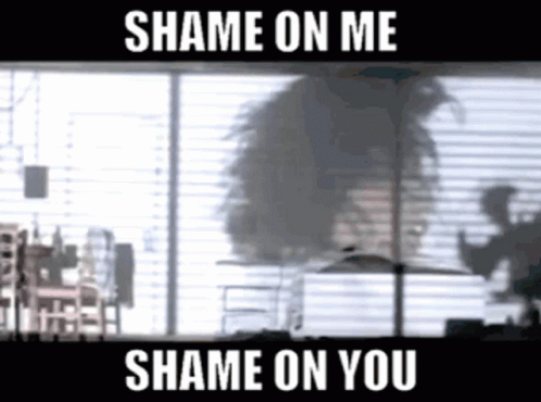 A Shame On Me Shame On You Meme With A Blurry Image GIF