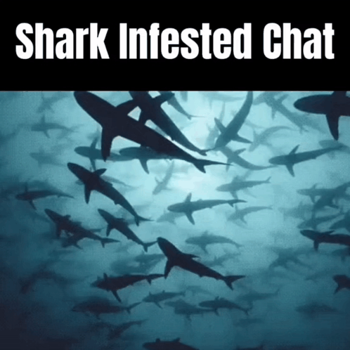 A Shark Infested Chat Poster With A Picture Of Sharks In The Water GIF