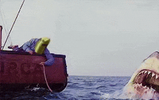 A Shark Is Attacking A Boat In The Ocean GIF