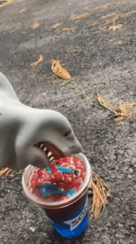 A Shark Is Drinking From A Pepsi Cup On The Ground GIF