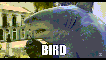 A Shark Is Holding A Bird In Its Mouth And The Word Bird Is Above It GIF