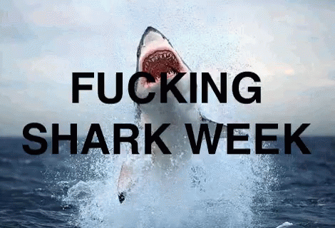 A Shark Is Jumping Out Of The Water With The Words Fucking Shark Week Written Below It GIF