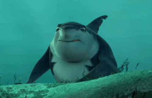 A Shark Is Swimming In The Ocean And Looking At The Camera GIF