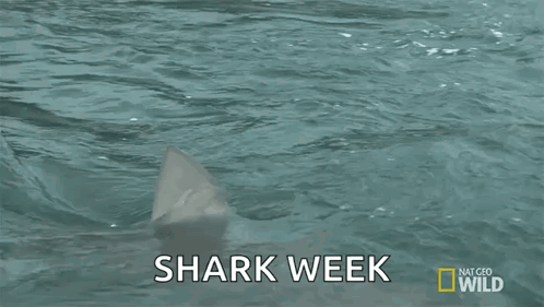 A Shark Is Swimming In The Ocean With The Words Shark Week Written On The Bottom GIF