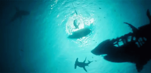 A Shark Is Swimming Near A Person On A Surfboard In The Ocean . GIF