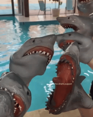 A Shark Puppet Is Being Held By A Person In Front Of A Pool GIF