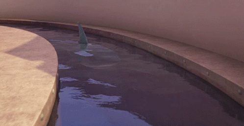 A Shark With Its Mouth Open Is Swimming In The Water GIF