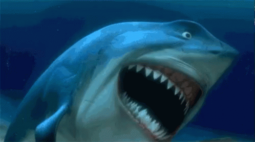 A Shark With Its Mouth Wide Open In The Ocean GIF