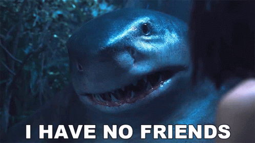 A Shark With The Words " I Have No Friends " Next To It GIF