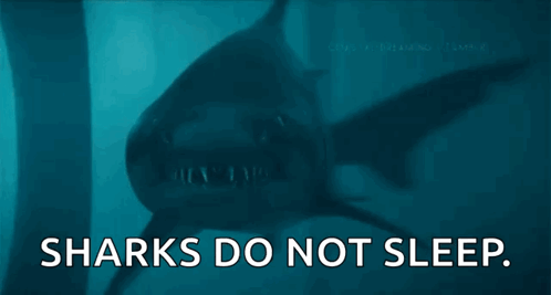 A Shark With The Words Sharks Do Not Sleep Below It GIF