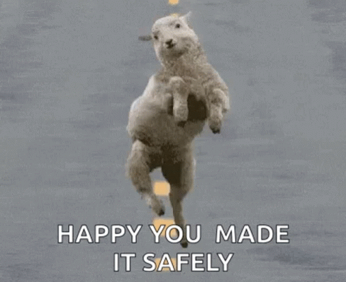 A Sheep Is Jumping Over A Road With The Words `` Happy You Made It Safely '' Written Below It . GIF