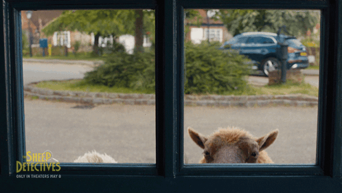A Sheep Is Looking Out Of A Window With The Words Sheep Detectives On The Bottom GIF