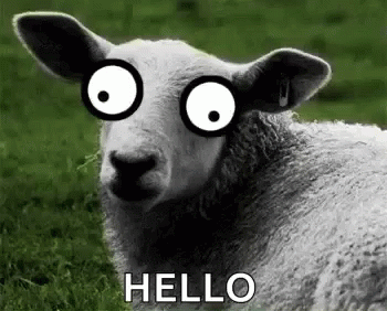 A Sheep With Glasses On Its Eyes Is Laying In The Grass And Saying Hello . GIF