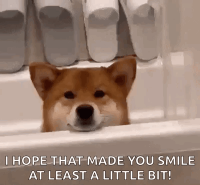 A Shiba Inu Dog Is Sticking Its Head Out Of A Bathtub And Smiling . GIF